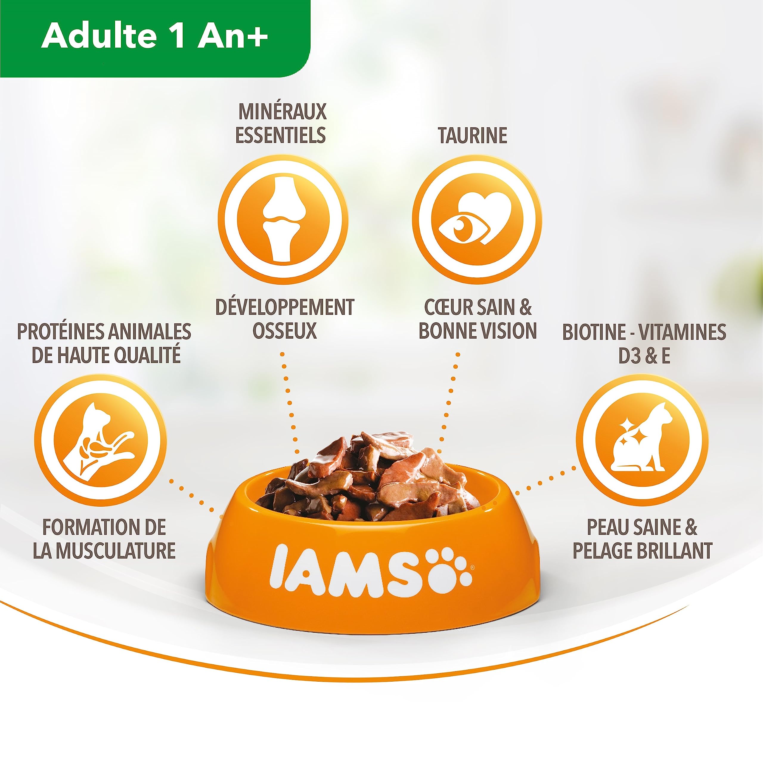 IAMS Chat Adulte Nourriture Humide en gelée Terre&Mer Land&Sea Collection 12 sachets x 85g