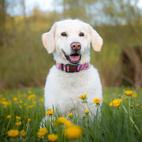 Miniatura 4 de Collar de perro con patrones especiales para perros grandes, hembras y machos, collar para cachorros extra pequeños y medianos, collares suaves y