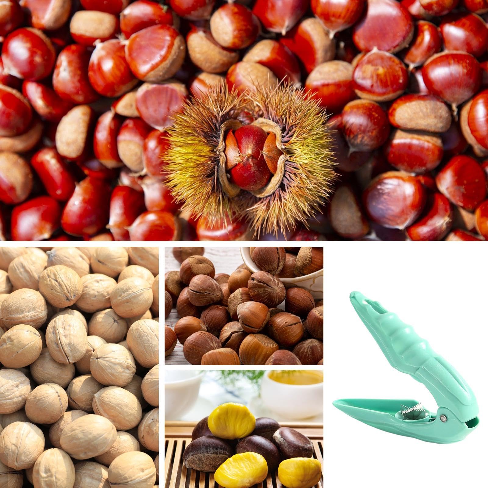 Coupe-Châtaignes Éplucheur Robuste - Ouvre-Noix Ergonomique Pour Fruits Secs Et Amandes