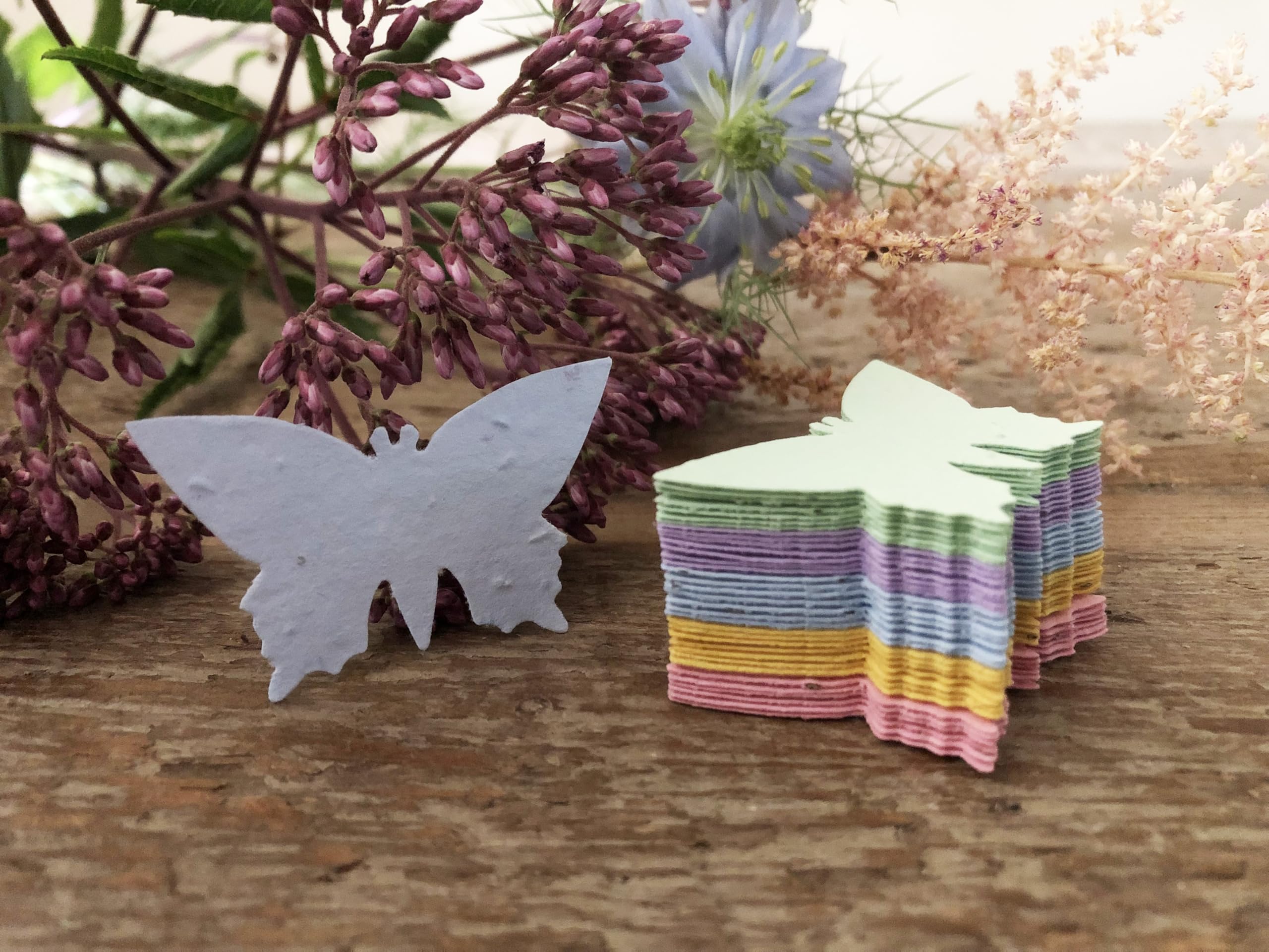 Multicoloured Seed Paper Butterflies (200)
