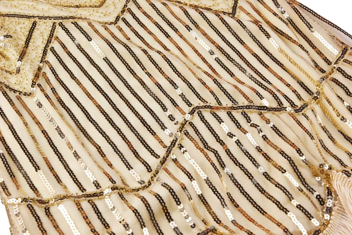 1920s Gatsby Sequin Fringed Paisley Flapper Dress with 20s Accessories Set - Image 4