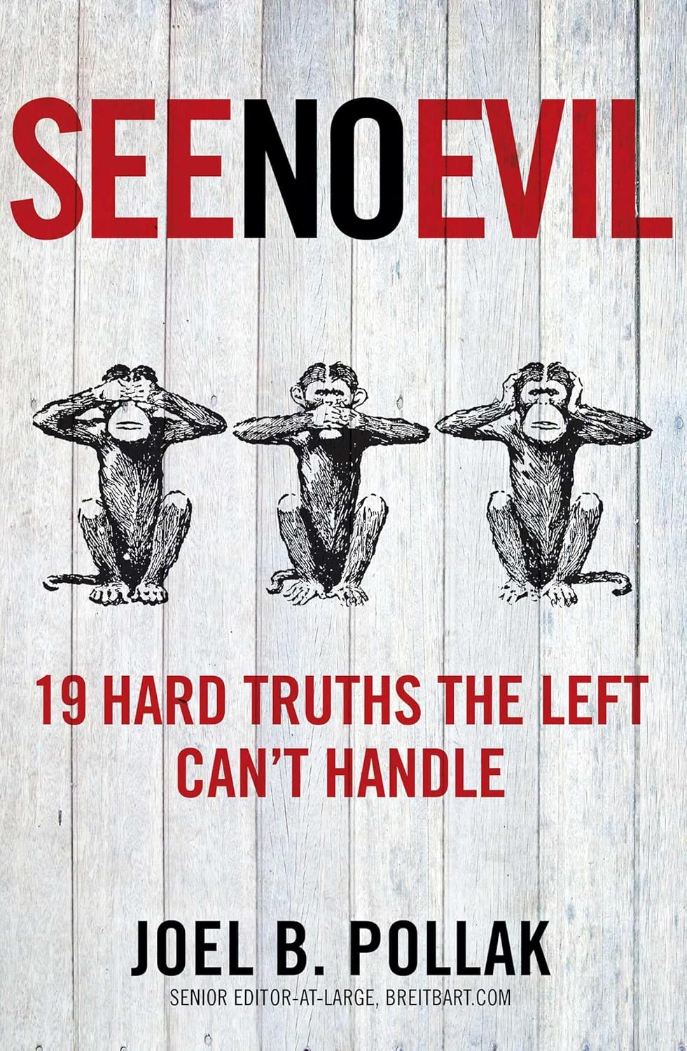 See No Evil: 19 Hard Truths the Left Can't Handle