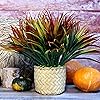 Product Photo 5