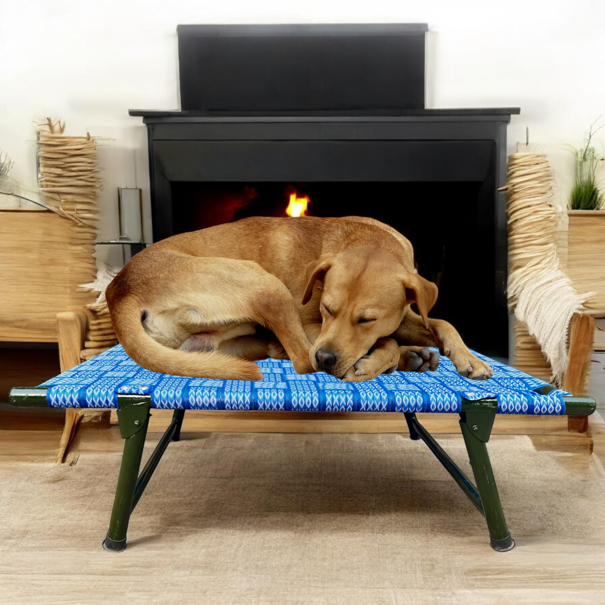 NATTNAK Dog Pet Bed with Spring Leg Fold Iron Frame with Premium Niwar Strips Size 42x24x8 Inch Indoor/Outdoor Use (42X24X8) (B0DJ5M9WJS) Amazon Price History, Amazon Price Tracker