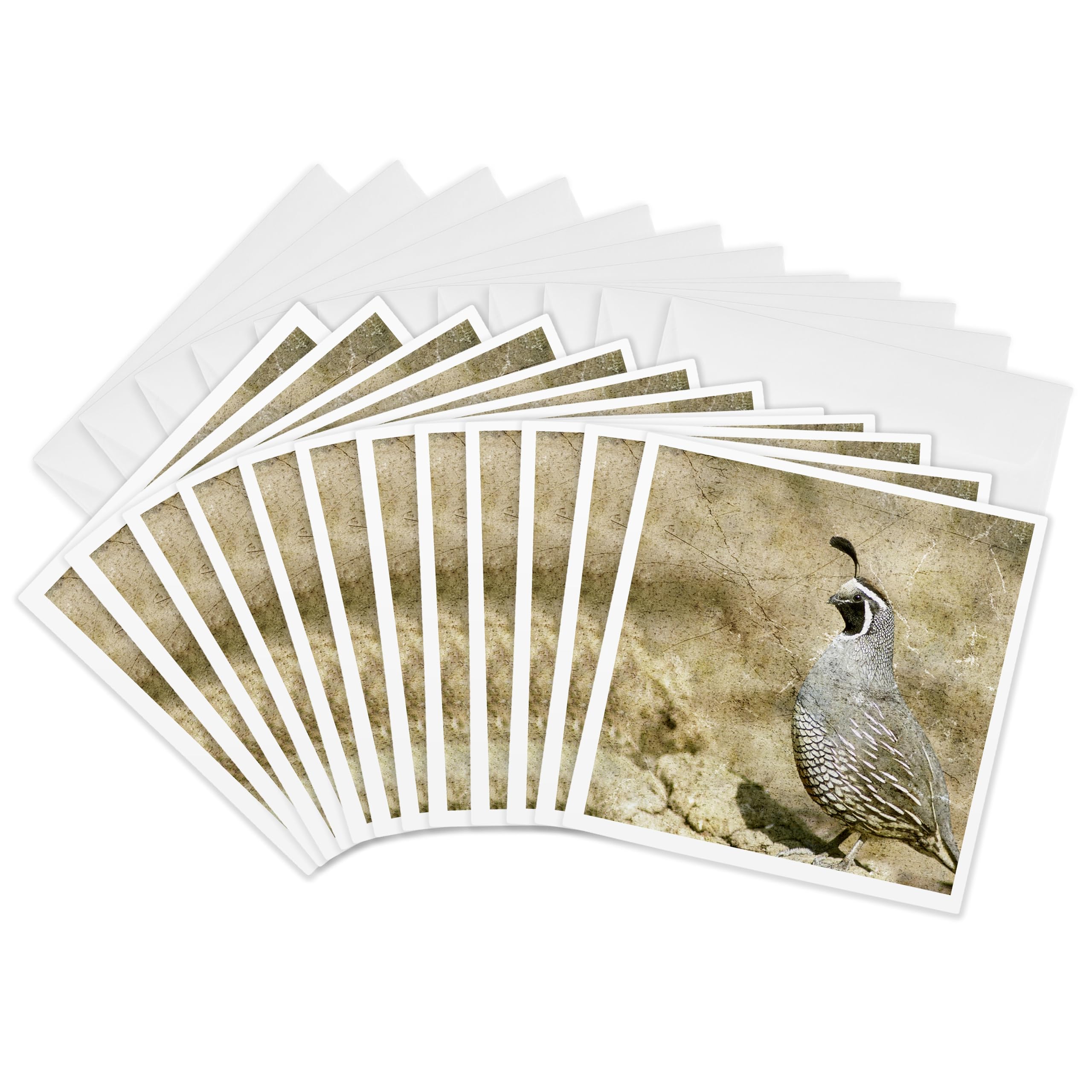 3dRose gc_12394_2 6 x 6-Inch "California Quail with Textures" Greeting Card (Pack of 12)