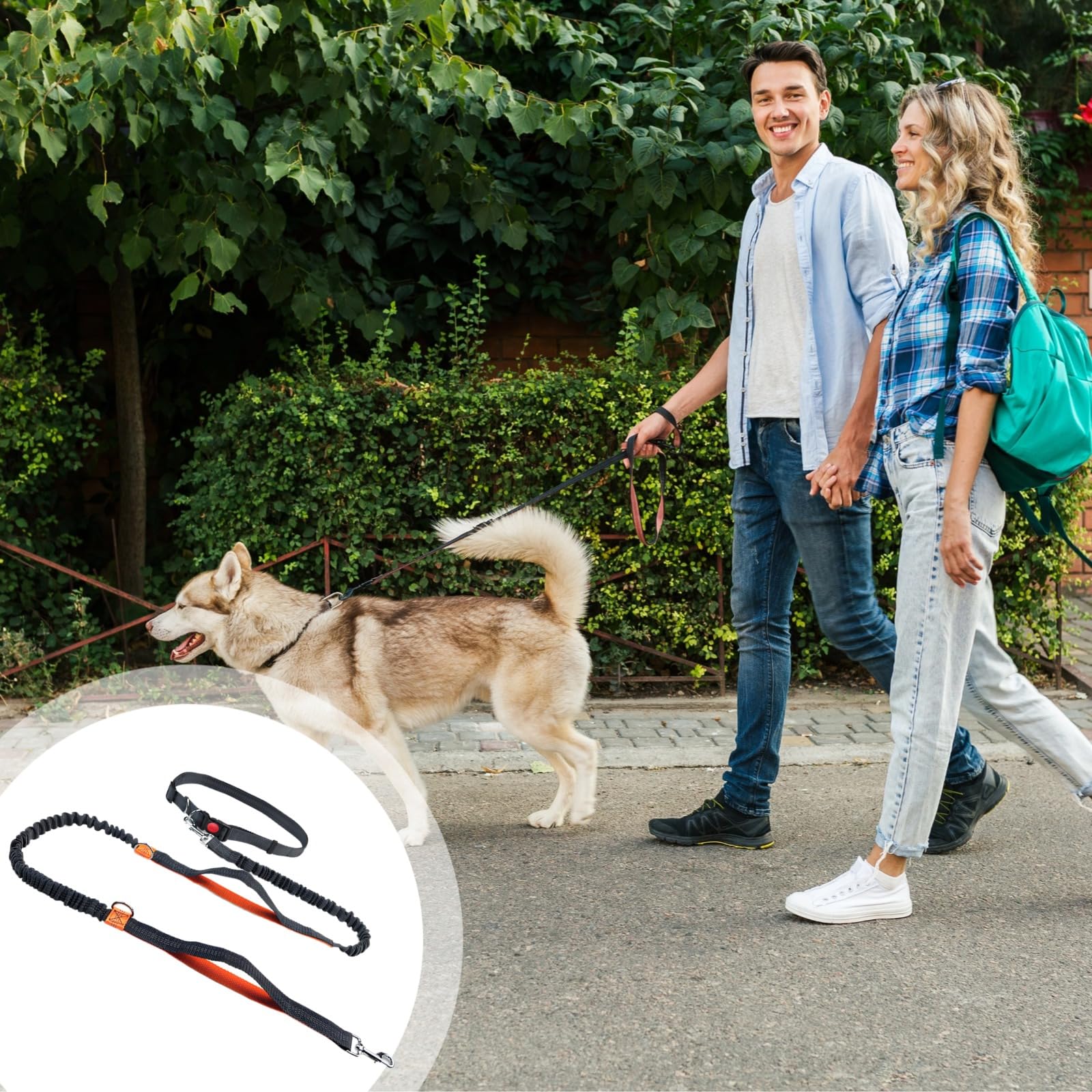 Laisse Bungee pour Chien Mains Libres, Laisse réfléchissante pour Petit Chien pour Courir, Ceinture réglable pour Humain, 5,4 à 7,9 ft
