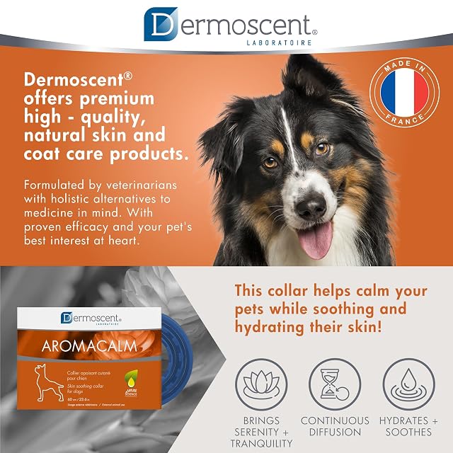 Foto 6 de 8 de Dermoscent Aromacalm Collar Calmante Perros Piel Estrés Aromaterapia 60 cm