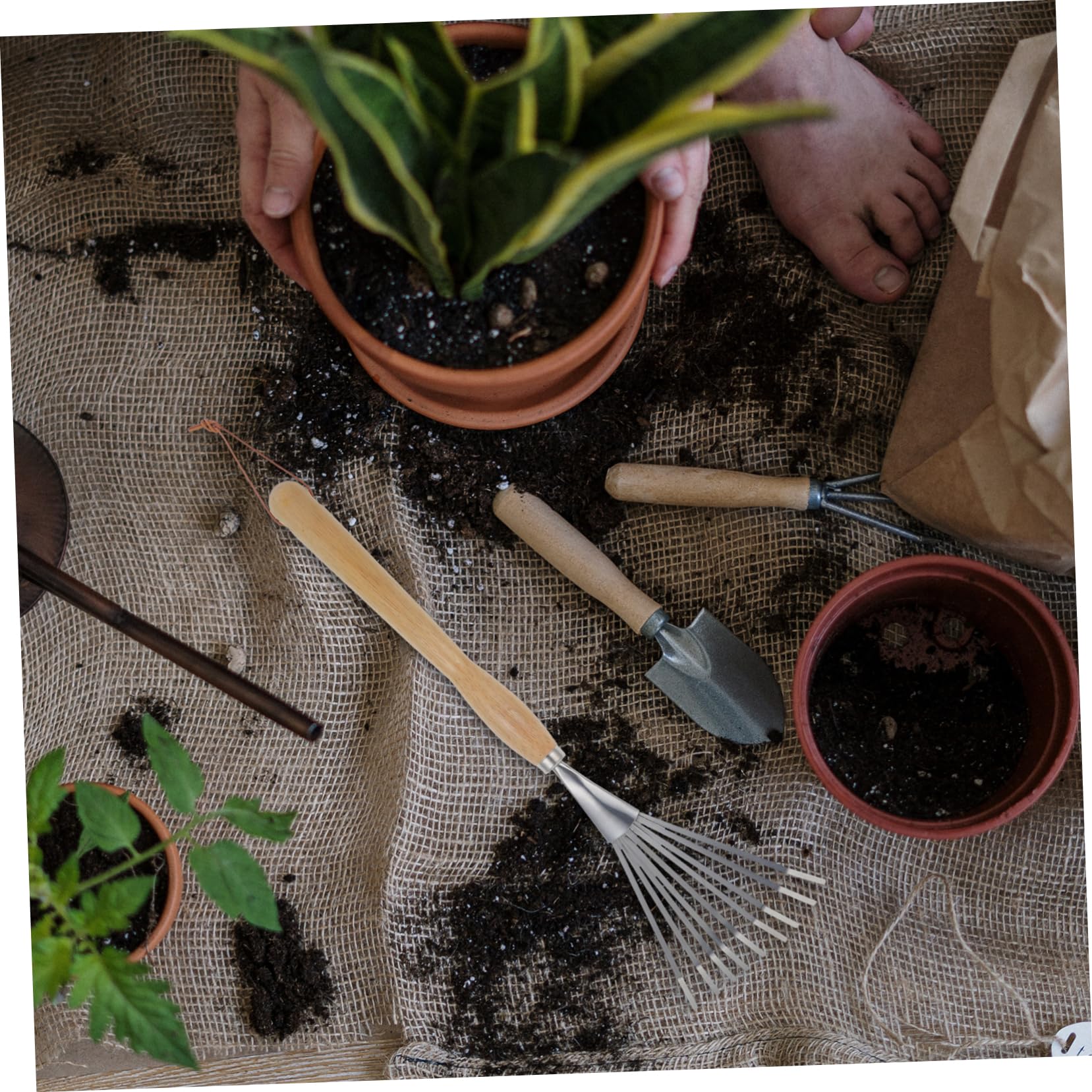Kisangel Rastrillo De Jardín Inoxidable con Mango Herramienta Profesional para Distribución De Suelo y Jardinería para Actividades