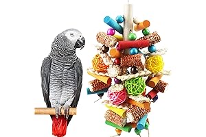 Bird Toys for African Greys and Other Large Parrots