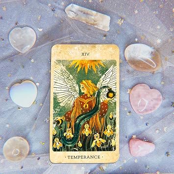 Tarot-Orakelkartendeck 78 Karten Solar Kingdom Tarot-Set Lebendige Bilder psychologisches Orakeldeck für aufschlussreiche Lesungen zukünftige und vergangene Ereignisse perfekt für Anfänger und