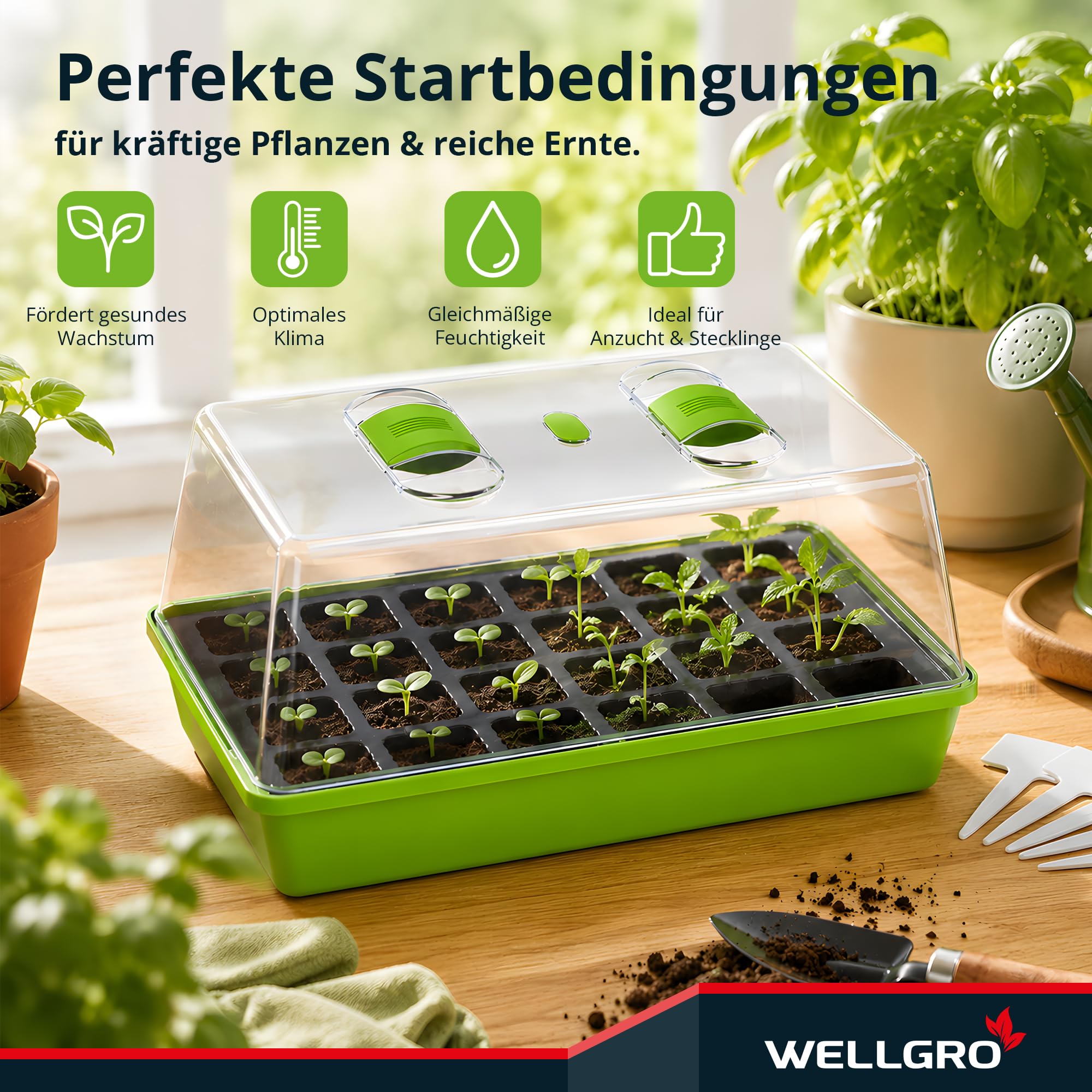 WELLGRO Anzuchtschale - Zimmergewächshaus mit belüftbarer Abdeckhaube und Pflanzschildern - 1, 2 oder 4 Stück - 38 x 24 x 19 cm, Stückzahl:4 Stück