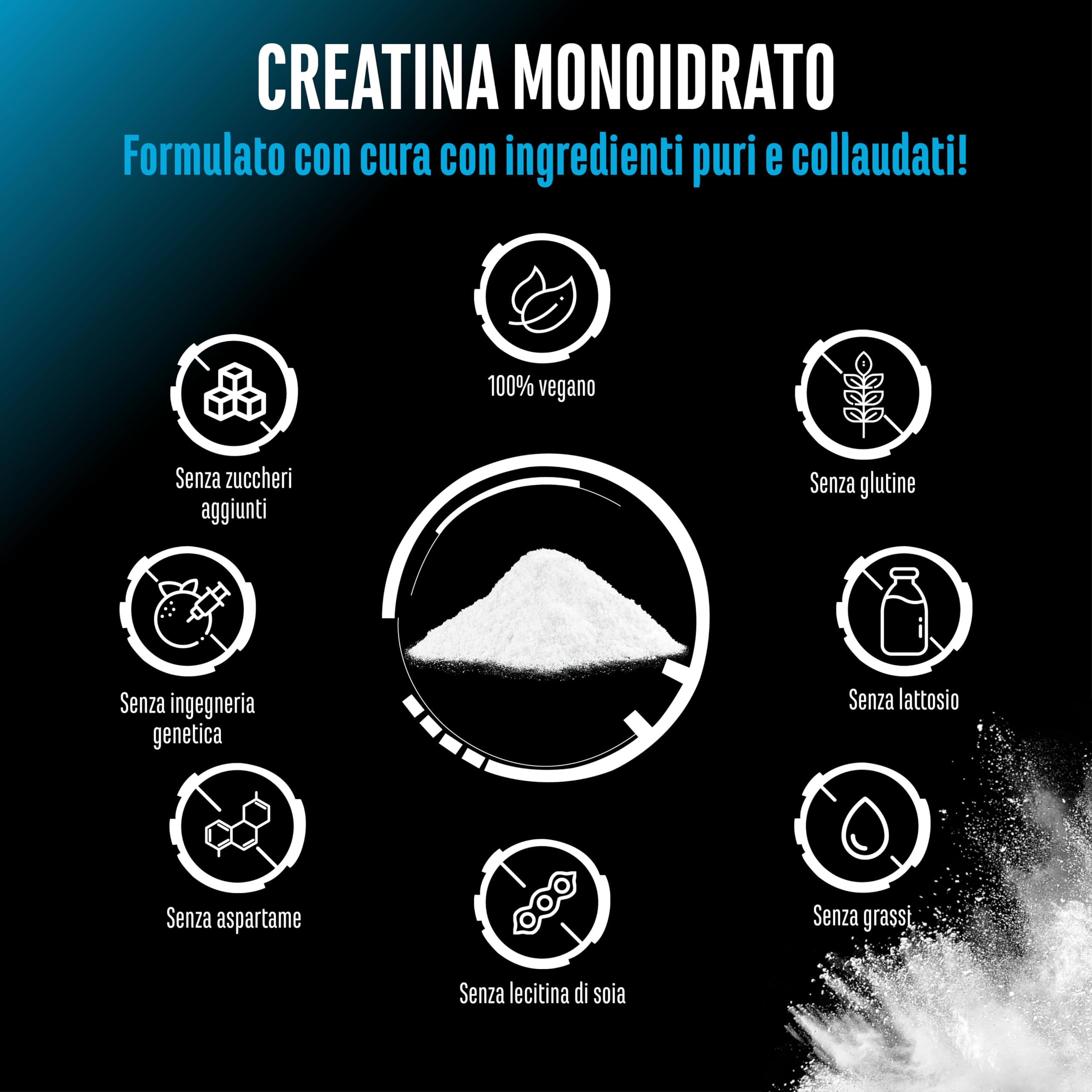 Creatina in polvere - 1kg / 1000 g - Creatina monoidrato in polvere - Solubilità ottimale e microfine - Vegan - 293 applicazioni - Qualità testata