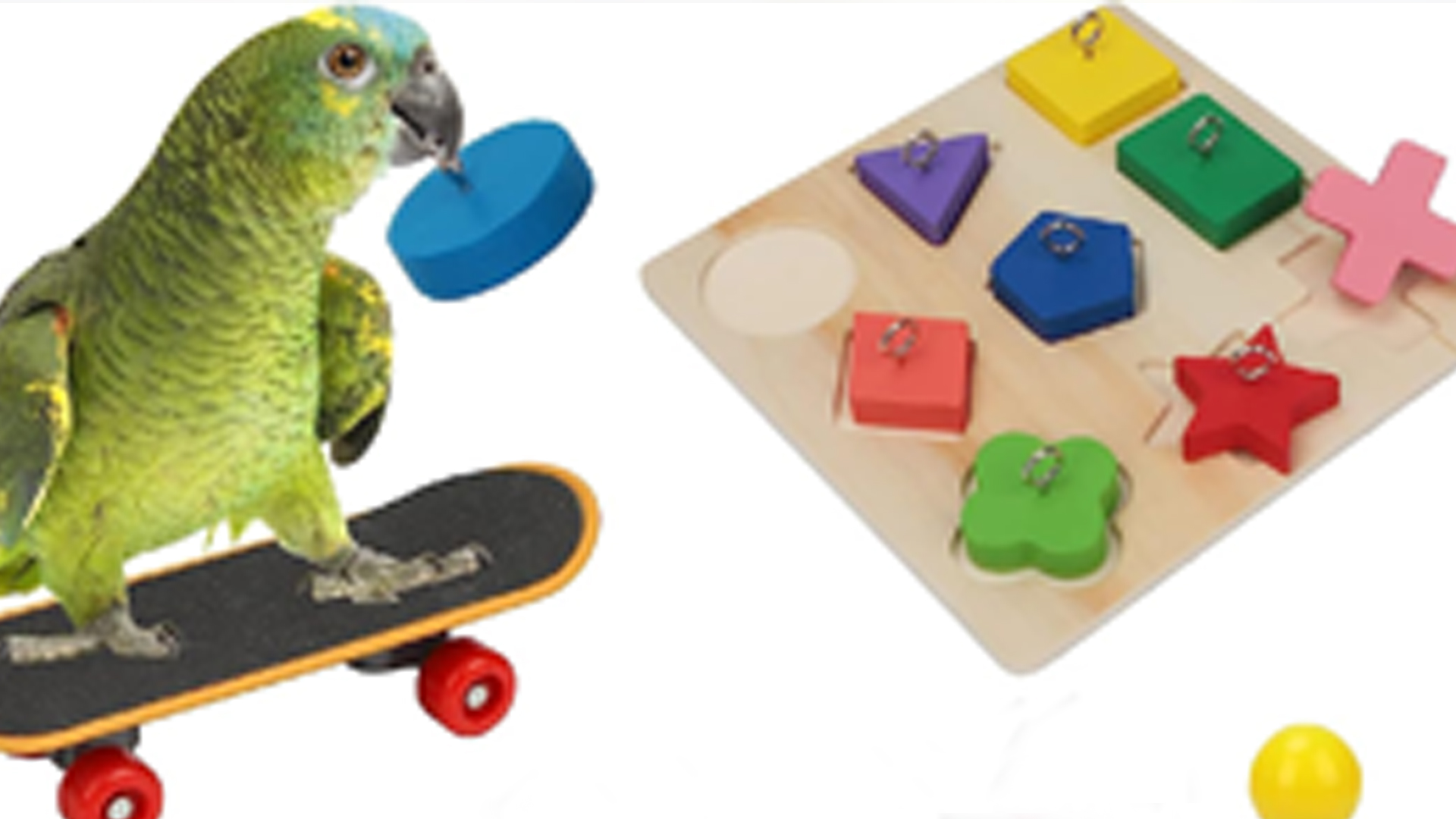 Juguete Educativo De Madera Para Periquitos - Con Base Y Aros Coloridos, Para Entrenamiento Y Diversión