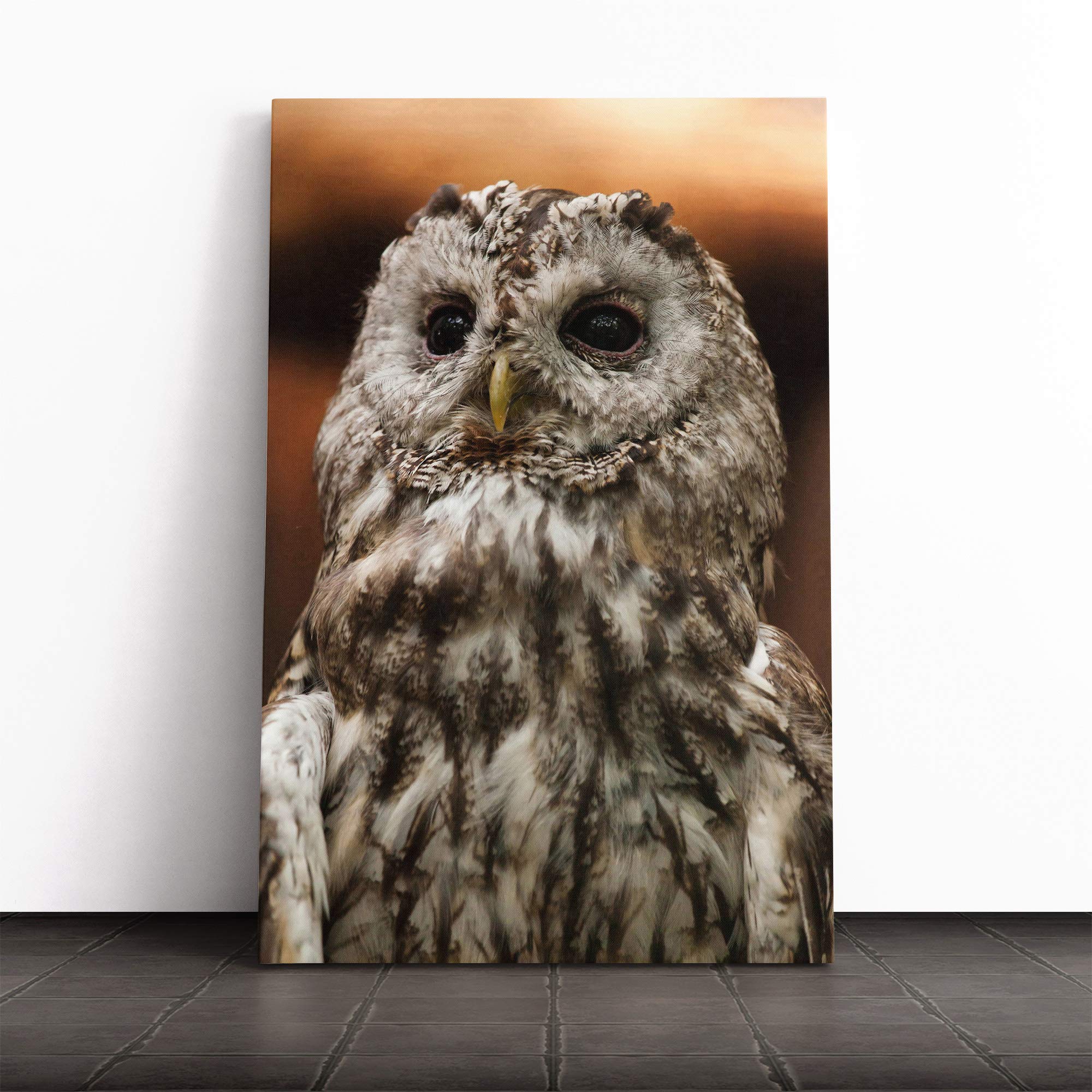 Tawny Owl Canvas Print | Gallery Wrapped 30mm Frame Wall Art | 20x14 inches | Ready to Hang | Modern Animals Picture | Living Room Bedroom Lounge Office
