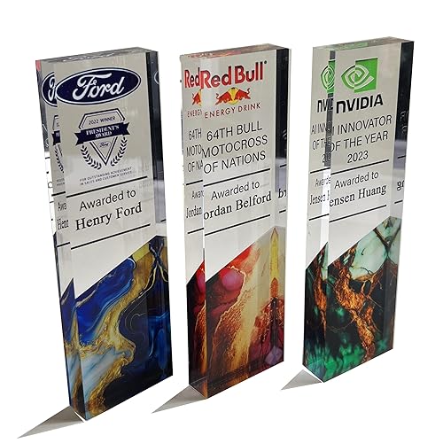 Tina&Co Customizable Acrylic Trophy Award for Activities Personalized Trophy Plaque with Logo Ideal for Employee Appreciation Gifts Awards and