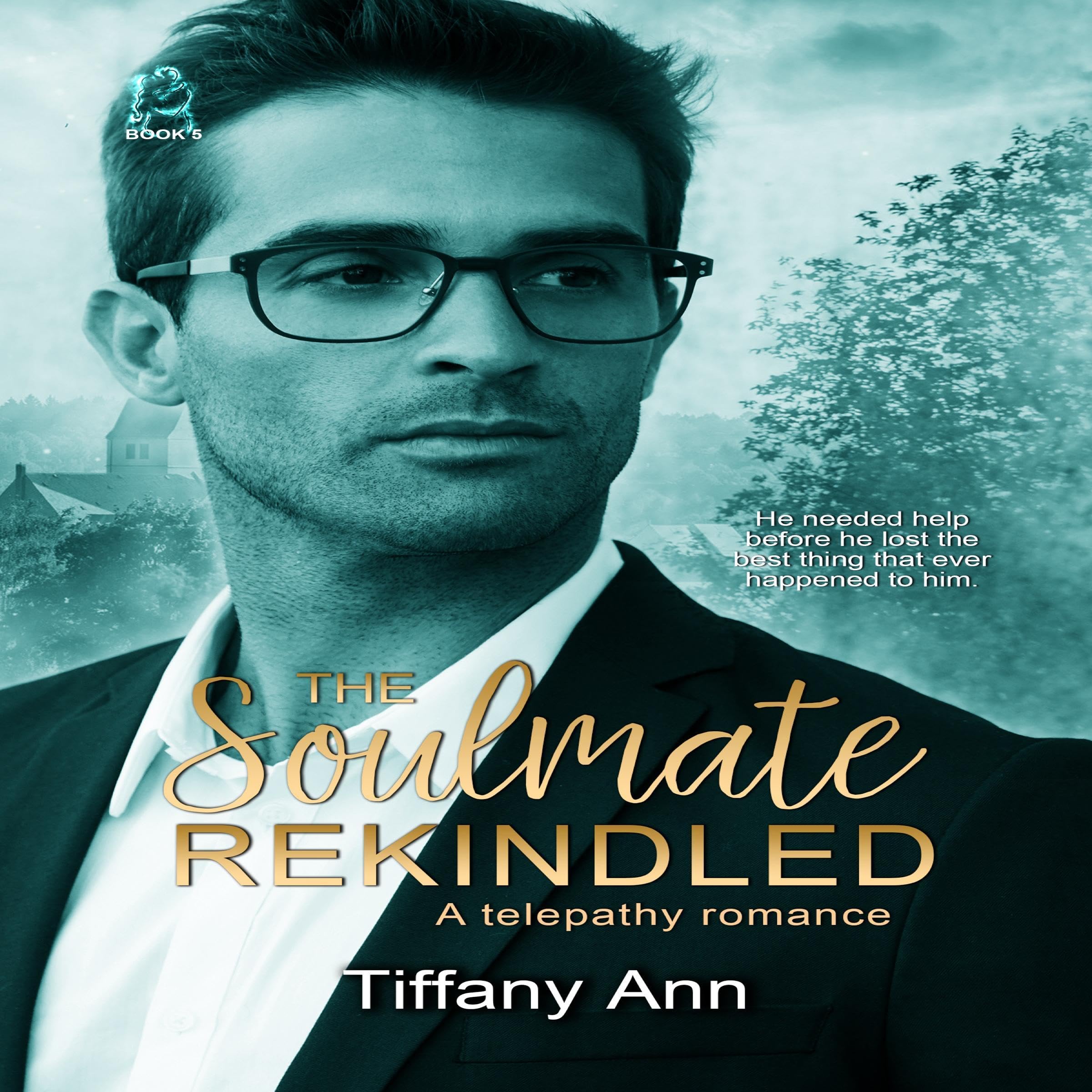 Cover art for The Soulmate Rekindled