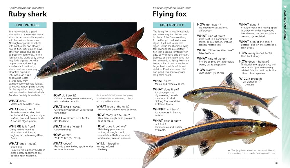 洋書　Freshwater Aquarium Fishes 淡水魚　大型本 What Freshwater Fish?: A Buyer's Guide to Tropical Aquarium
