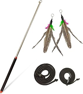 SCHLITZOHR Sturdy cat fishing rod Arnold with carabiner hook, feather cat toy including 2 x feathers and 2 x bands product image