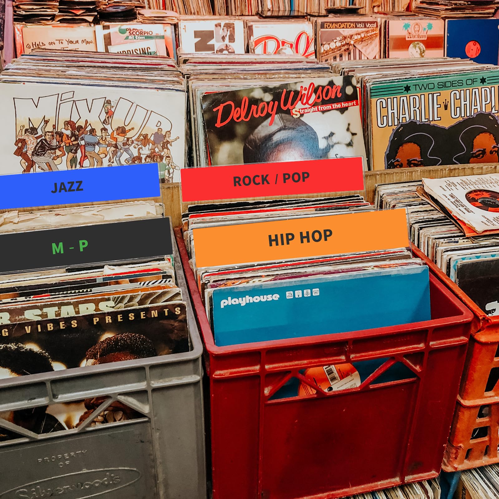 Amazon.com : sdroceRyaM Acrylic Vinyl Record Dividers Music