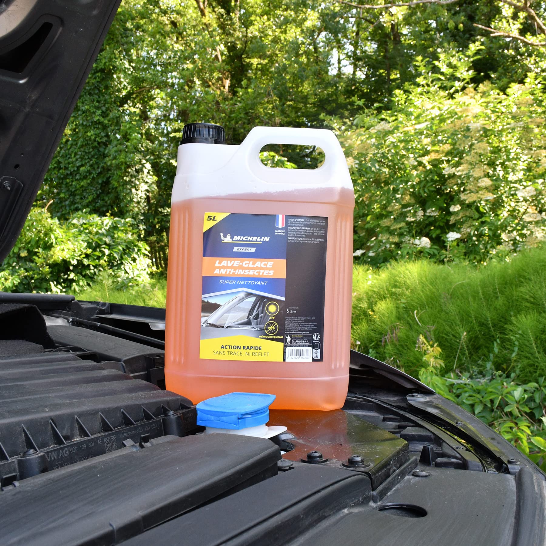 MICHELIN Expert 009359 Lave-Glace été, Anti-Insectes, 5 litres