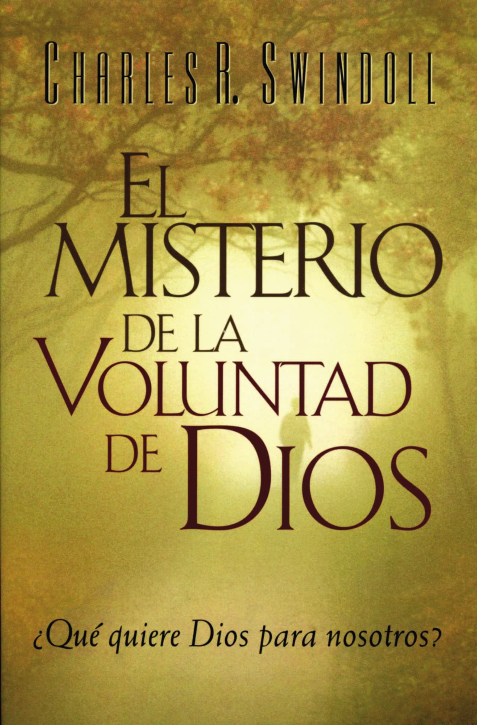 Misterio De La Voluntad De Dios, El
