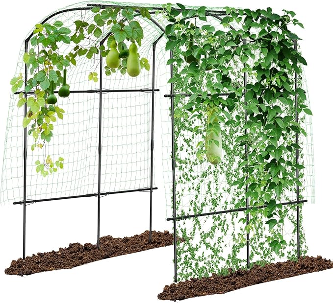 DoCred Tall Garden Arch Trellis for Climbing Plants