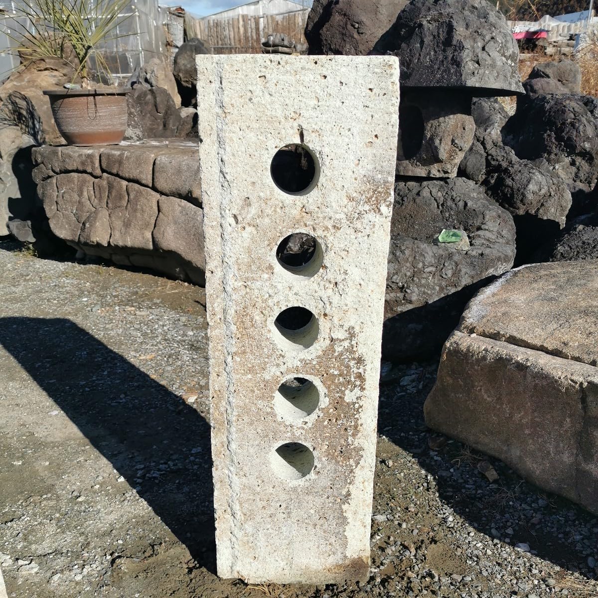 サンゴ石　119キロ　庭石　石　鑑賞石 石材　庭　ガーデニング　置物　オブジェ サンゴ石119キロ庭石石鑑賞石 石材庭ガーデニング置物オブジェ