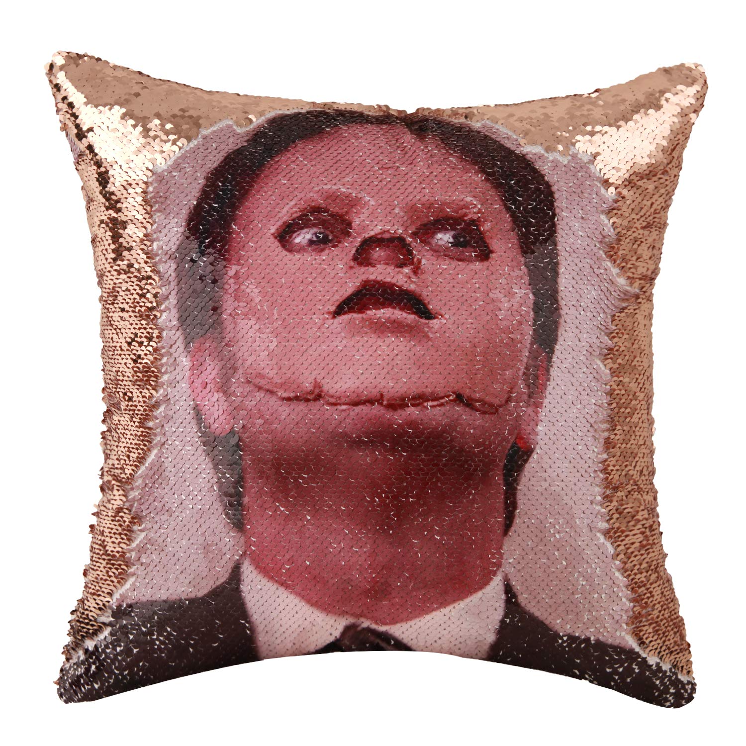 dwight sparkle pillow