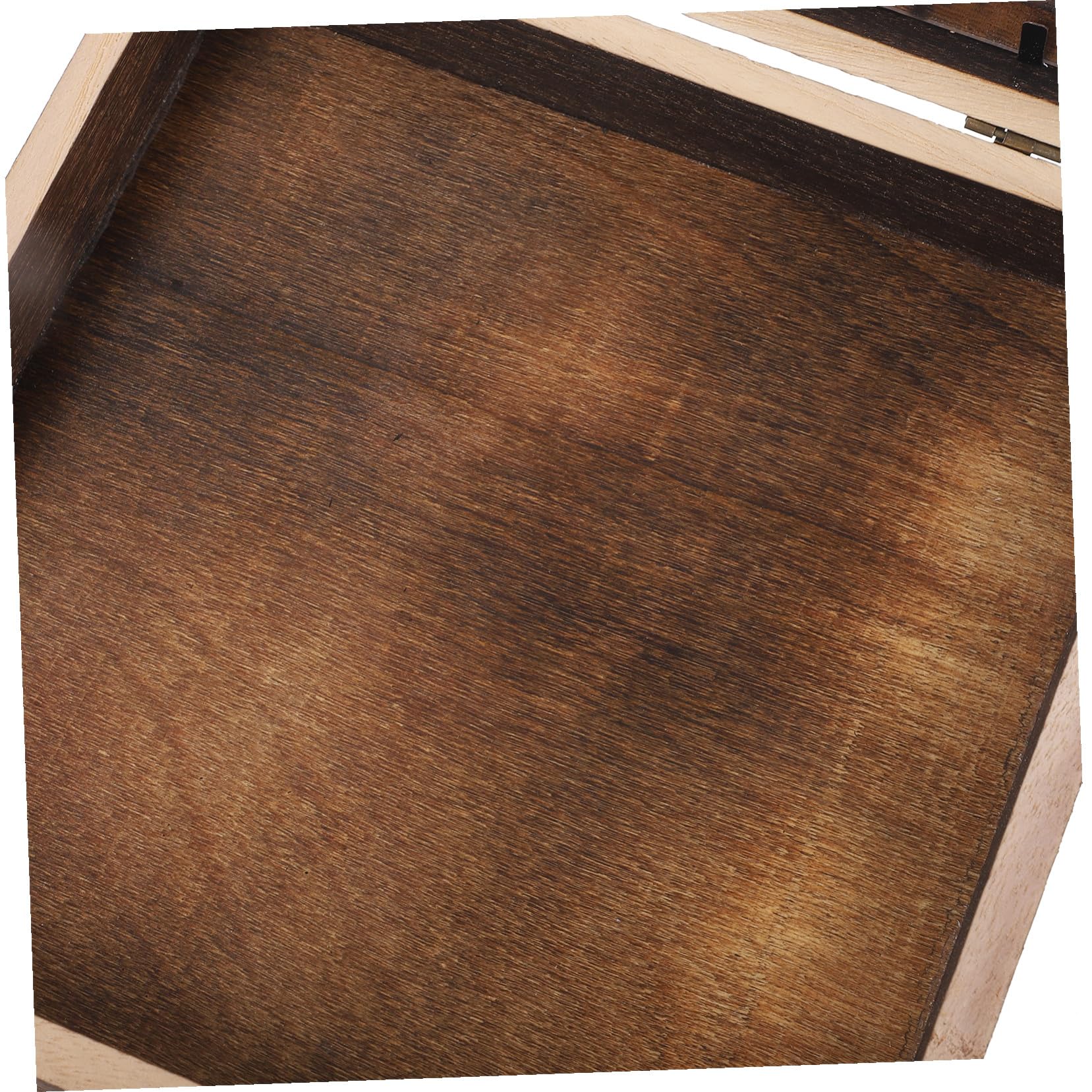 TOYANDONA Scatola Espositore per Insetti Ganci in Legno e Acrilico, Stile Retrò, Grande Capacità, Portatile e Sicura per Collezioni di Farfalle e Altri Insetti