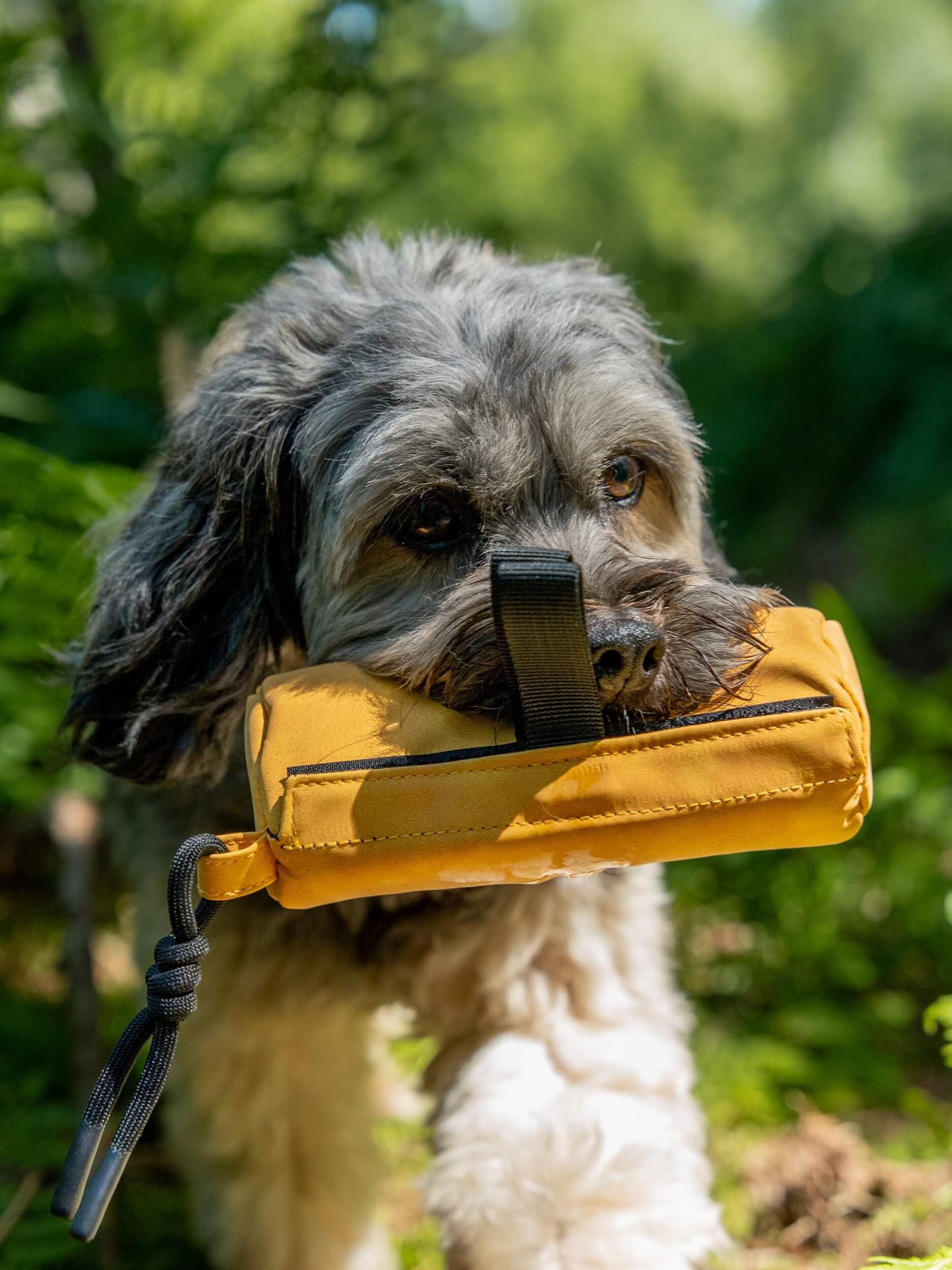 TrendPet Kurt Futterdummy Trainingsdummy für Hunde (M, gelb)