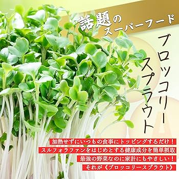 sprout出品 スプラウトの有機種子の通販 - 有機のタネのグリーンマーケット