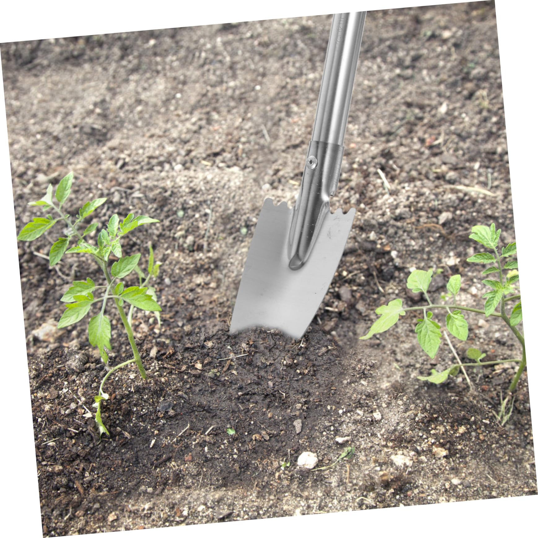 BESPORTBLE 4 Juegos Pala De Jardín De Acero Inoxidable Perforar Podadoras De Jardín Cesta Herramienta Plantar Jardín Herramienta Camping Jardín Palas para Jardineria Pala De Mano 3 Piezas * 4