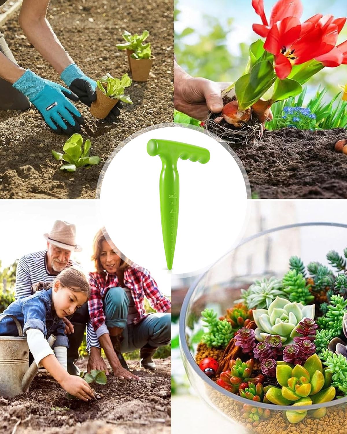 1 Pezzi Piantatore Per Piantine Sicuro,Piantatore di Bulbi,Seminatrice da Giardino,Strumenti per Semina,per la Coltivazione di Piante Grasse e Piante da Giardino,attrezzi giardinaggio