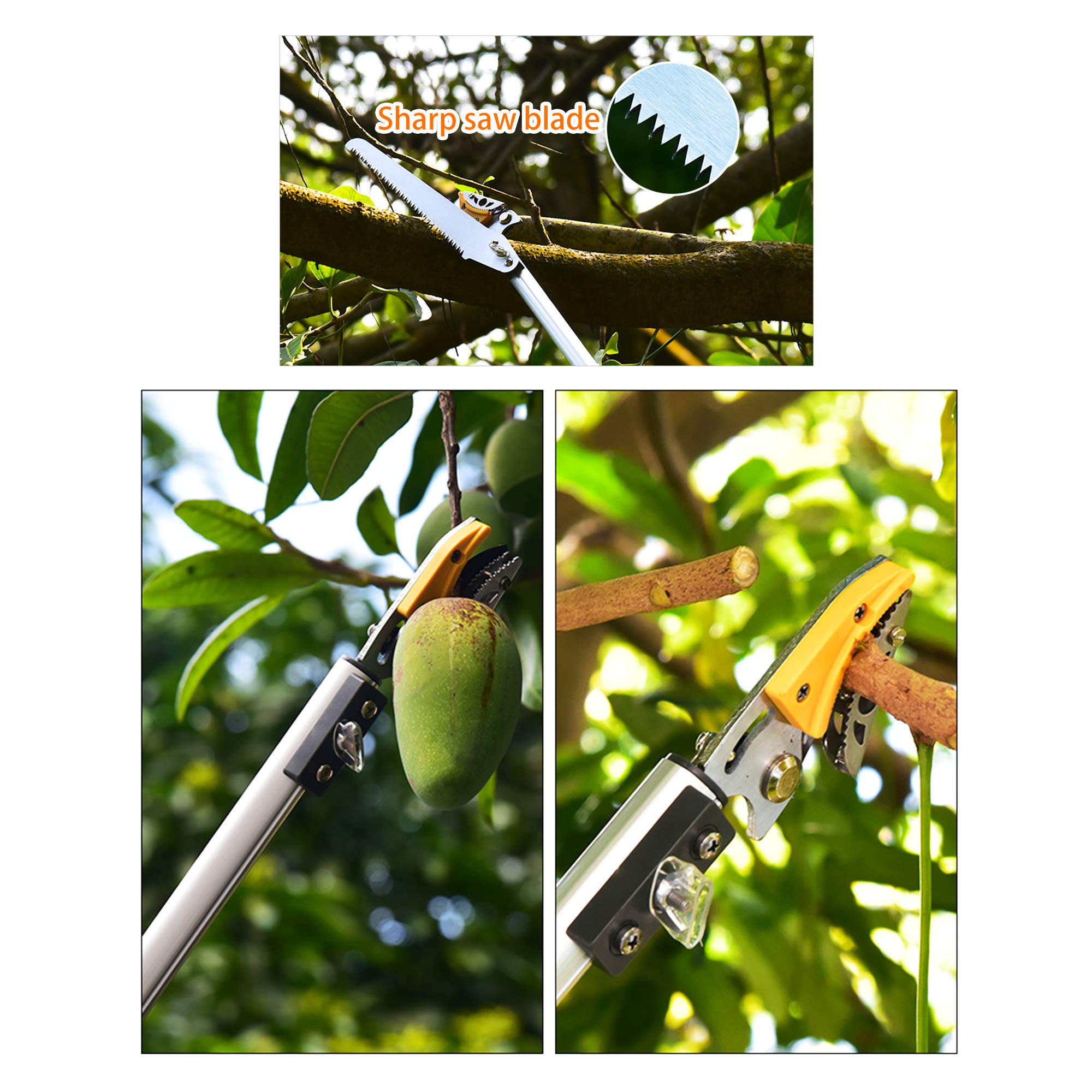 Herramienta de recogida de frutas de mango largo, tijeras telescópicas para podar árboles para ramas de cosecha de huertos