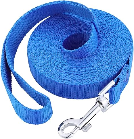 10 ft dog training lead Clearance