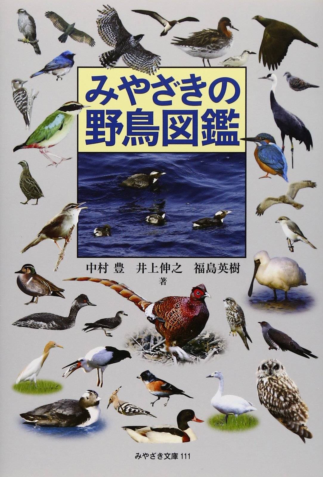 みやざきの野鳥図鑑 (みやざき文庫111) | 中村 豊, 井上 伸之, 福島