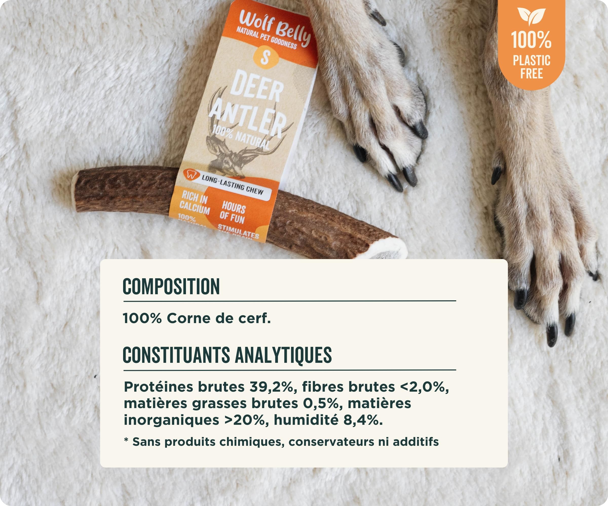 Wolf Belly - Bois de Cerf pour Chiens 100% Naturel (Taille S) Corne Durable et Résistante | Réduit Tartre et Plaque | Riche en Calcium et Protéines | Calme Stress | Inodore - Fabriqué en Europe