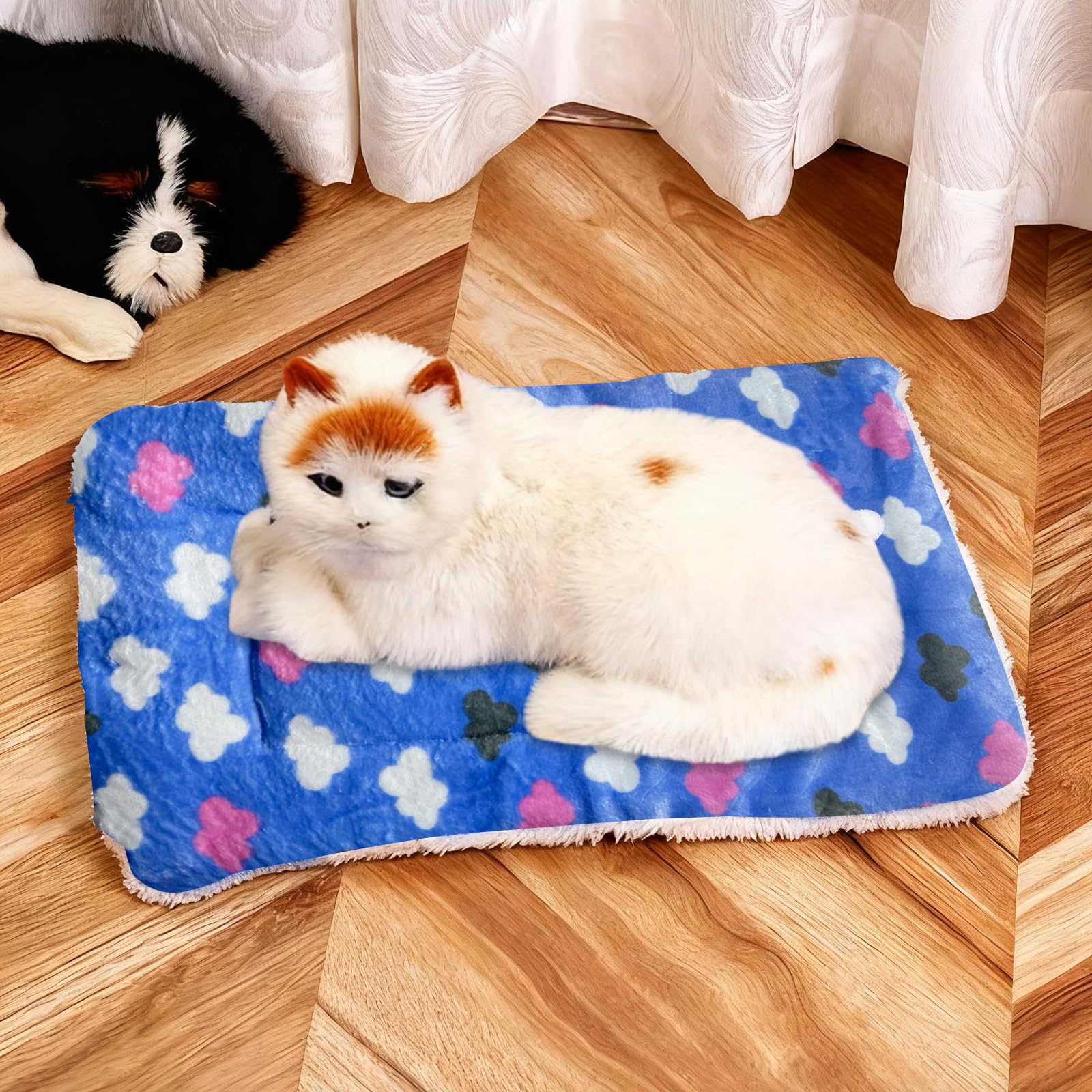 Coperta In Flanella Per Cani E Gatti 70x50 Cm – Doppio Strato, Lavabile, Antipelo, Morbida E Calda, Per Divani, Letti E Prati (stile Orso, Fino A 15 Kg)