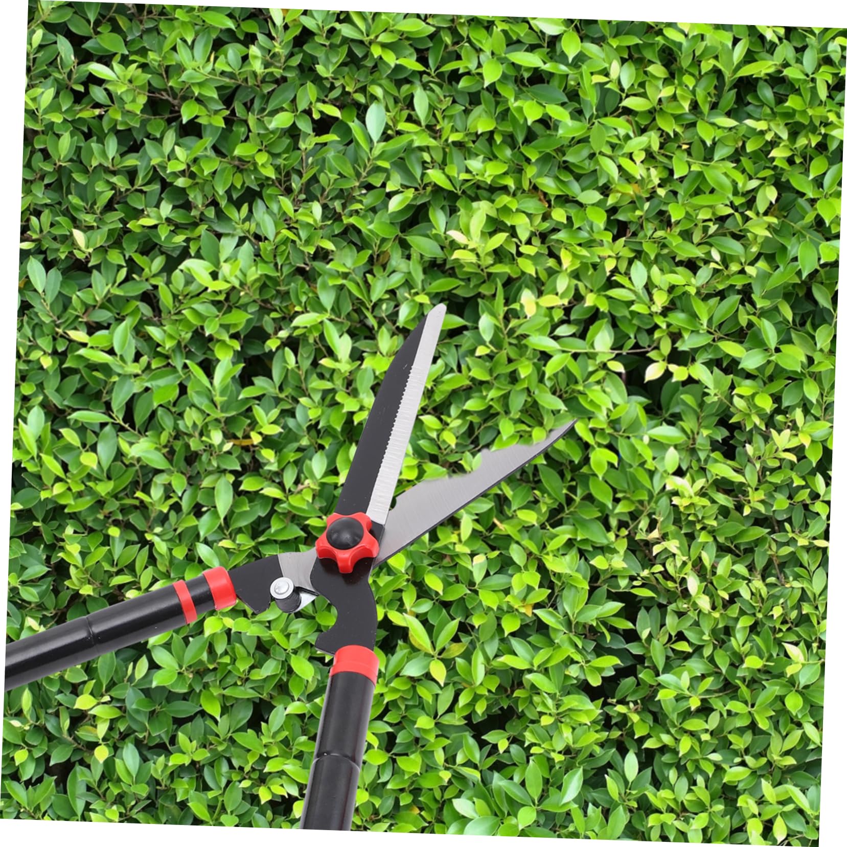 BESPORTBLE Cisaille à Haie Manuelle Outils De Jardinage Coupe-bordures Pour Arbustes Et Fleurs Poignée Ergonomique Caoutchouc
