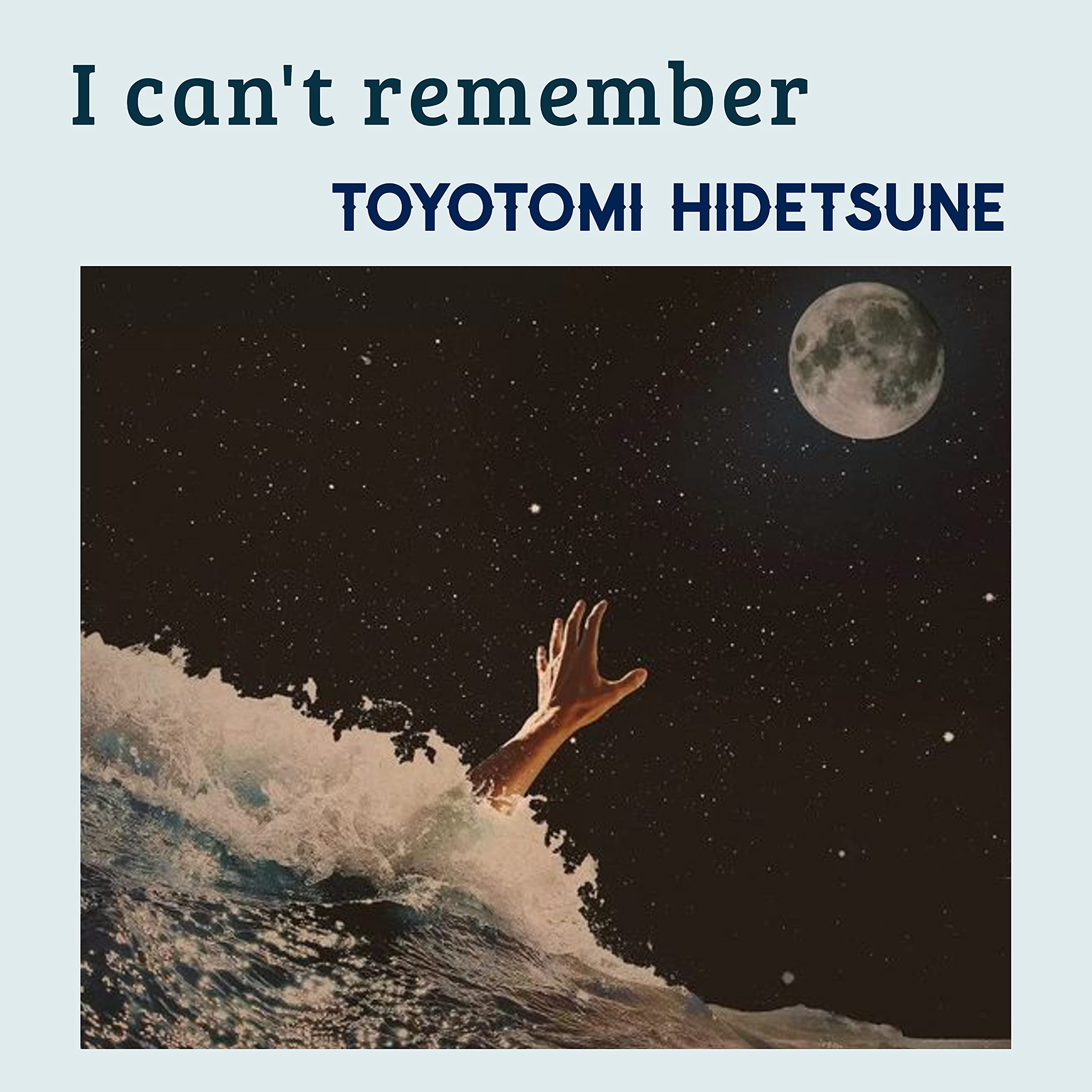 Toyotomi Hidetsune