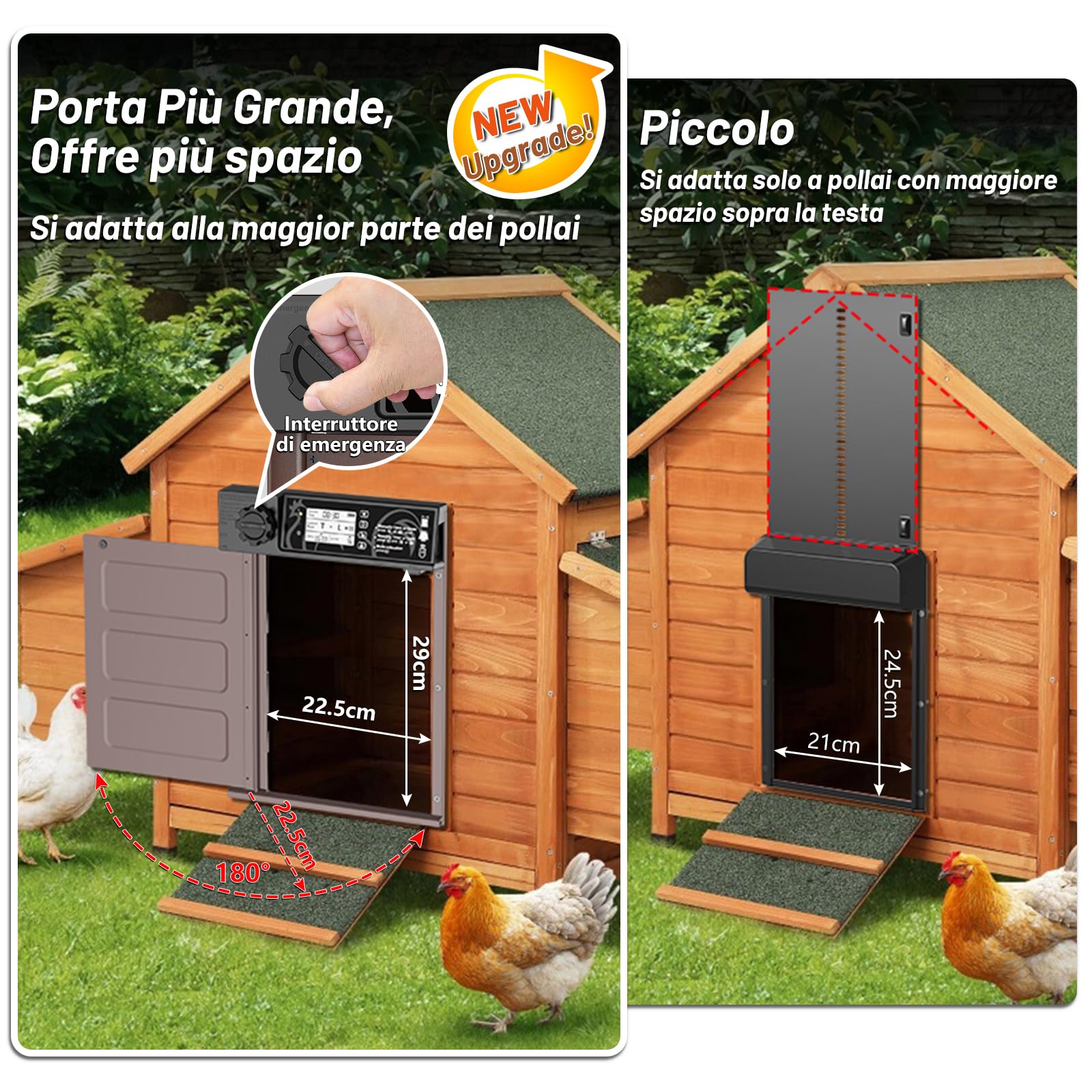 Porta pollaio Automatico con Display, Timer, Antipizzicamento, Impermeabile