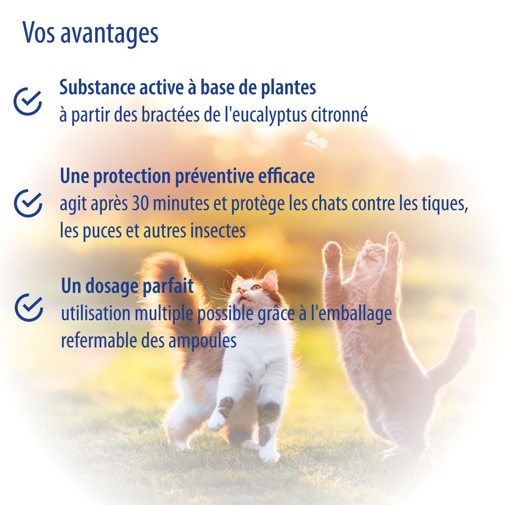 Spot on pour Chats I Anti-tiques à Base de Plantes sans Chimie I Protection Efficace Contre Les puces et Les tiques I Jusqu'à 15 semaines de Protection