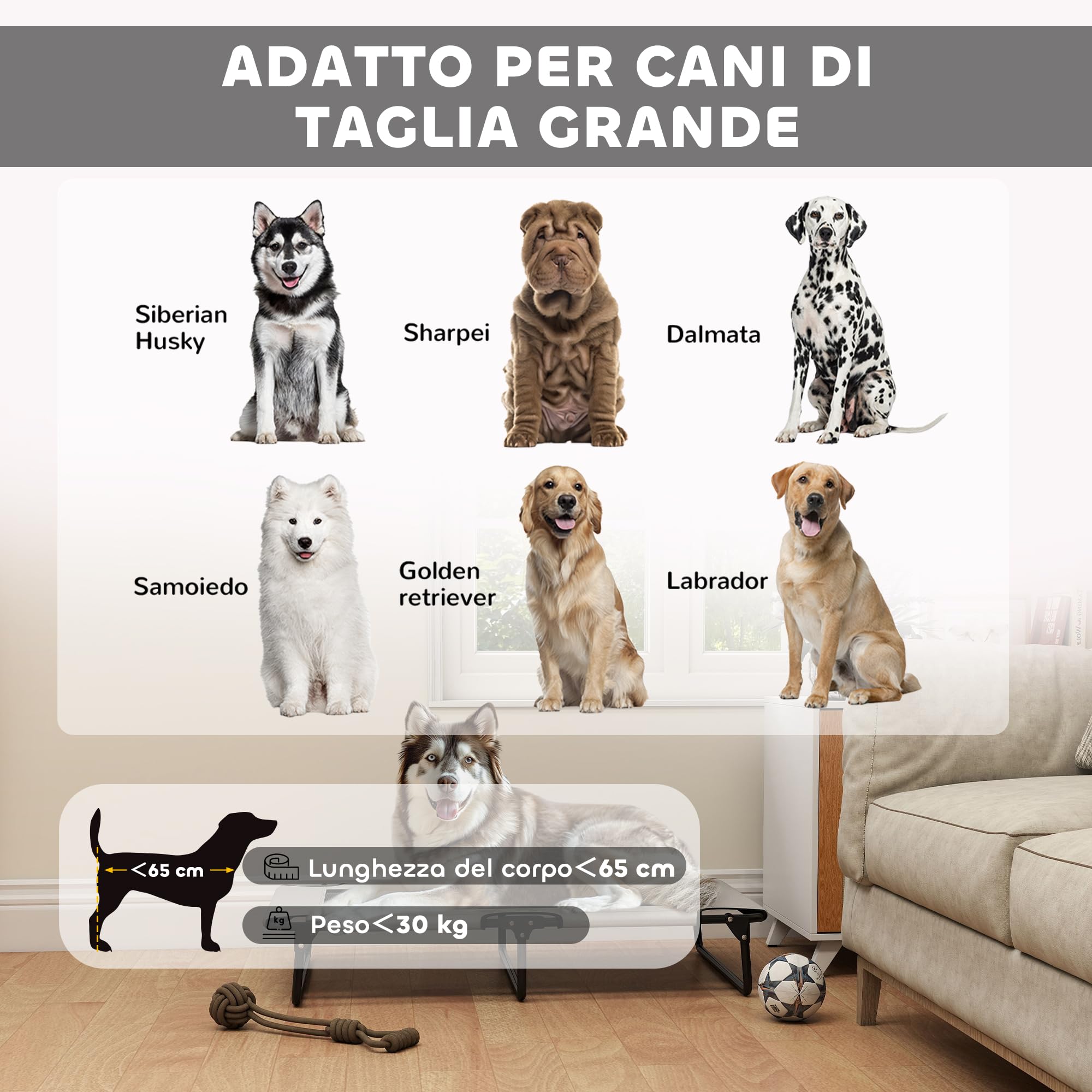 PawHut Letto per Cani Rialzato Pieghevole con Tessuto a Rete, Brandina per Cani Grandi da Interno ed Esterno, 107x61x20 cm, Grigio Chiaro