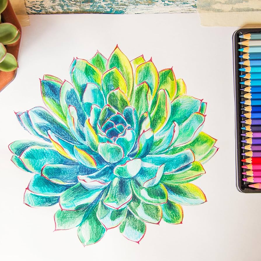 Amazon | PATIKIL すいさい色鉛筆、ブレンディング、着色