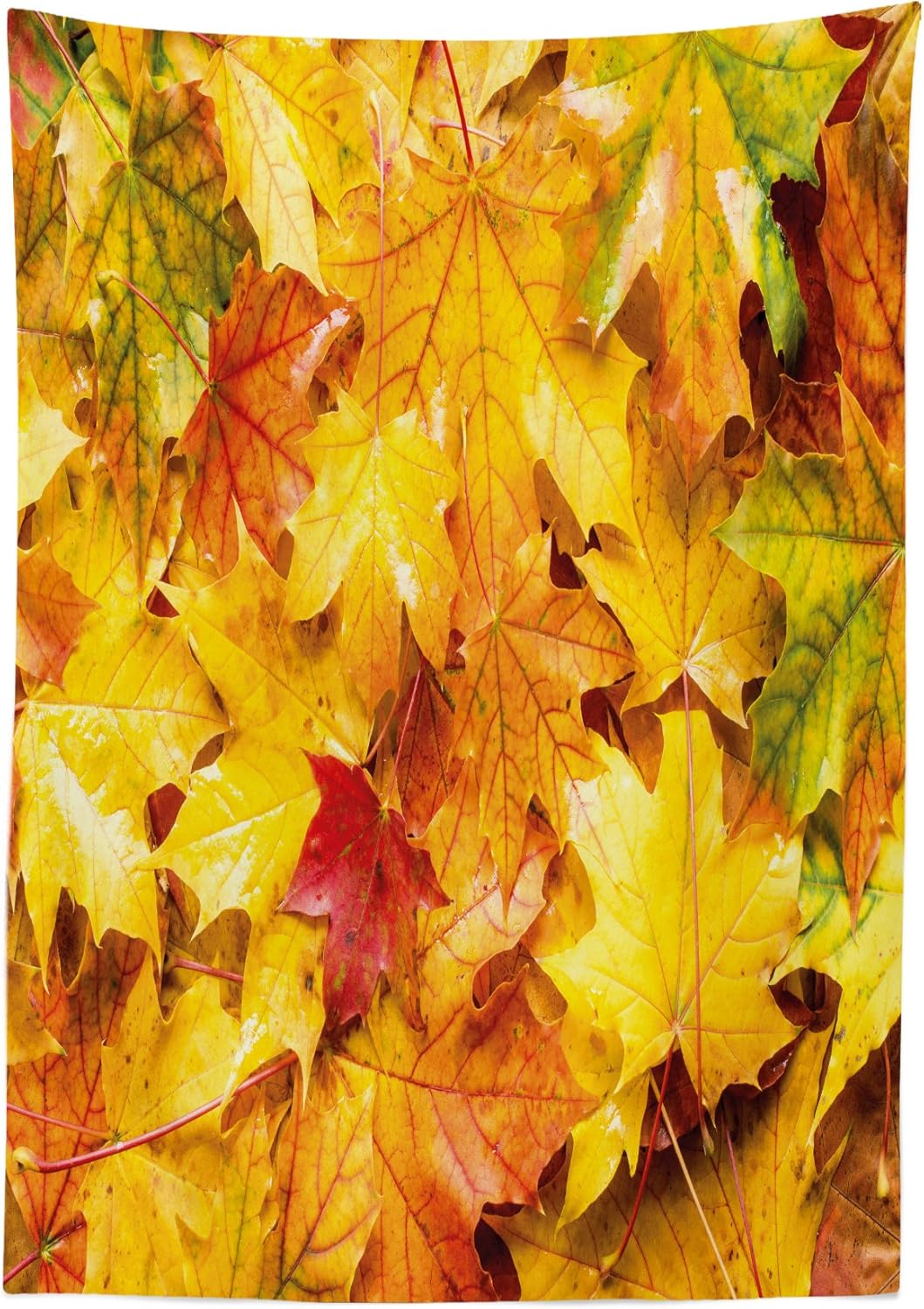 Ambesonne Fall Tablecloth, Wet Fall Leaves in Rainy Weather Maple Tree Nature in November Change of Seasons Theme, Dining Room Kitchen Rectangular Table Cover, 52" X 70", Pale Orange 52" X 70" Pale Orange