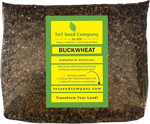 Semilla de parcela de alimentos de trigo sarraceno, bolsa de 5 libras, crecimiento rápido, bajo mantenimiento, semillas de cultivos de cobertura,