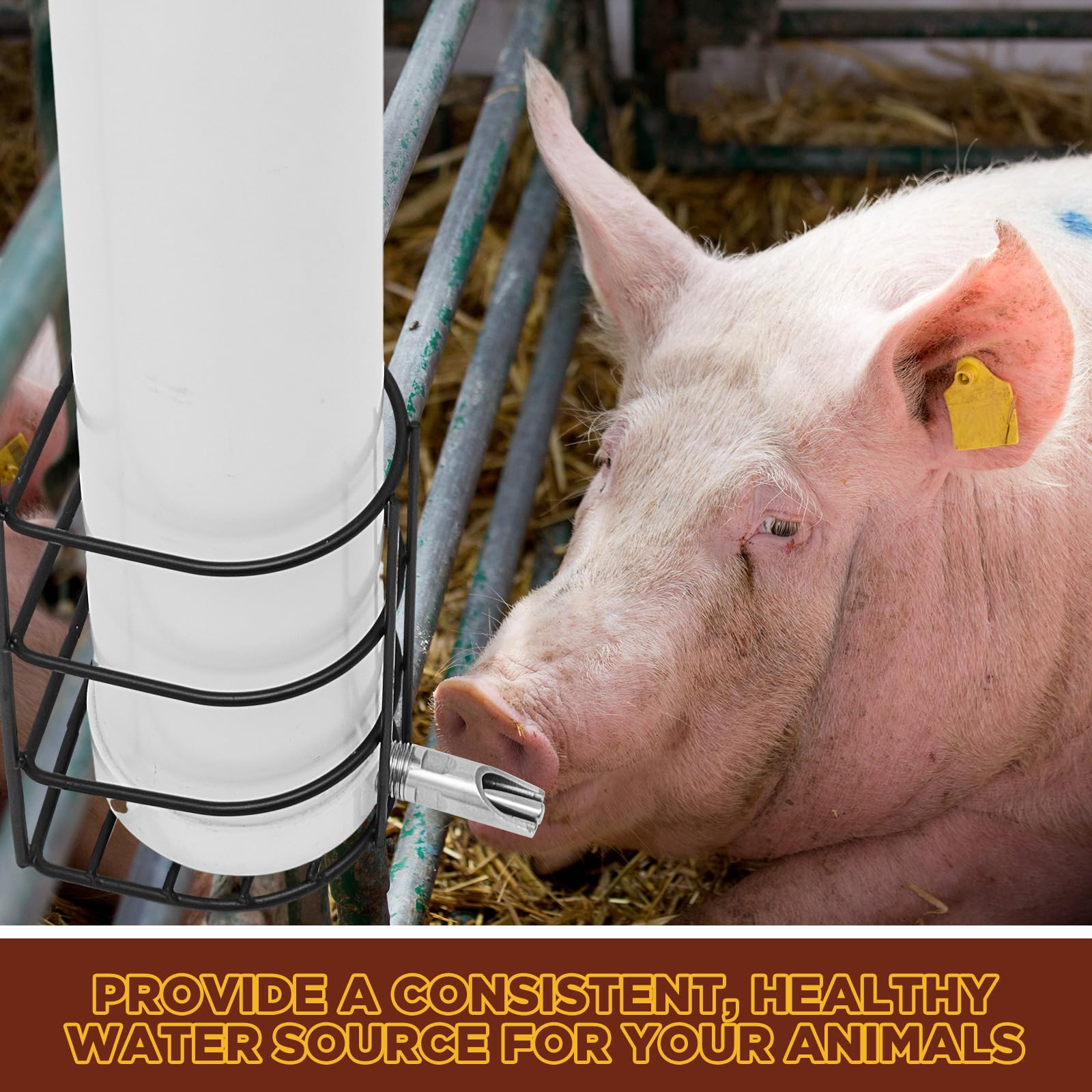 Vertikale Schweinebewässerung mit Stahlnippelabdeckung und Kabelbinder, höhenverstellbar, einfache Montage, Trinkset für Schweine und andere Nutztiere, Weiß, Größe S, 2 Sets