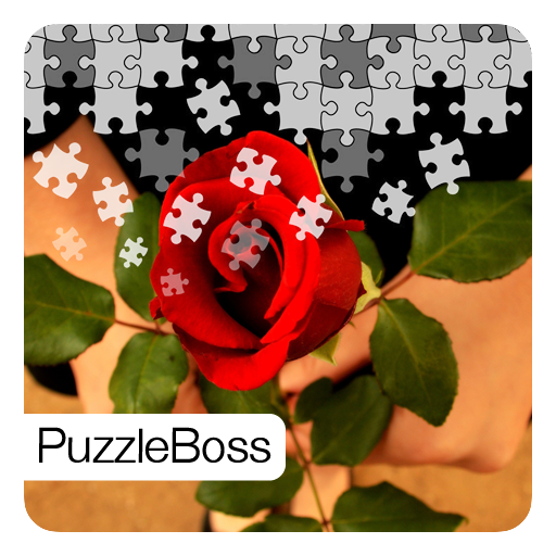 Roses Jigsaw Puzzles