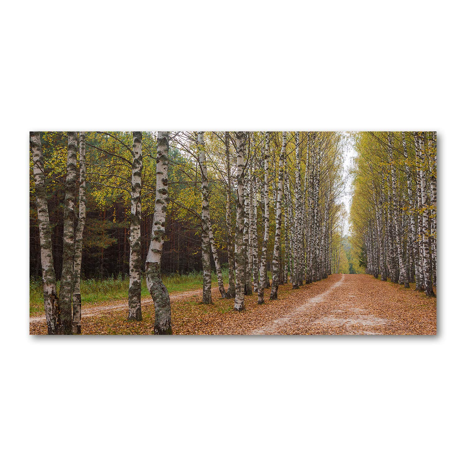 Tableau en verre acrylique 120x60cm de l'Avenue des Bouleaux pour salon