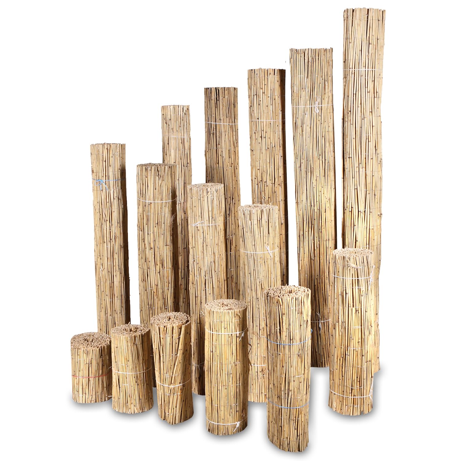 H4L Schilfmatte Sichtschutzmatte Schilfrohrmatte Natur Sichtschutz Windschutz Schilf 600x80cm